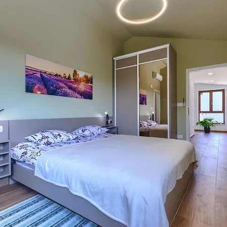 Holiday home Ana Lucija By Interhome Labin (Istria)